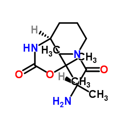 2-Methyl-2-propanyl [(3S)-1-alanyl-3-piperidinyl]carbamate结构式