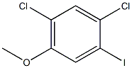 1,5-Dichloro-2-iodo-4-methoxy-benzene结构式