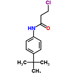 3-Chloro-N-[4-(2-methyl-2-propanyl)phenyl]propanamide structure
