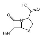 4-Thia-1-azabicyclo[3.2.0]heptane-2-carboxylicacid,6-amino-7-oxo-(9CI) picture