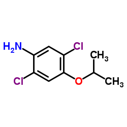 478399-40-5 structure