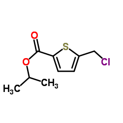 Isopropyl 5-(chloromethyl)-2-thiophenecarboxylate Structure