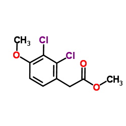 Methyl (2,3-dichloro-4-methoxyphenyl)acetate结构式