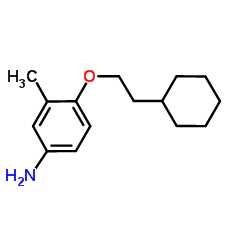 4-(2-Cyclohexylethoxy)-3-methylaniline结构式