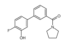[3-(4-fluoro-3-hydroxyphenyl)phenyl]-pyrrolidin-1-ylmethanone结构式