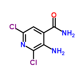 4-Pyridinecarboxamide,3-amino-2,6-dichloro结构式