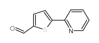 5-吡啶基-2-硫苯-2-甲醛图片