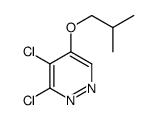 3,4-dichloro-5-(2-methylpropoxy)pyridazine结构式