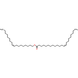 753W099NQ6 Structure