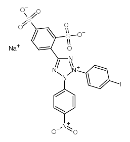 WST-1 Structure