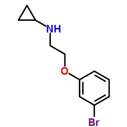 N-[2-(3-Bromophenoxy)ethyl]cyclopropanamine picture