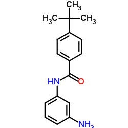 N-(3-AMINOPHENYL)-4-TERT-BUTYLBENZAMIDE结构式