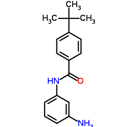 N-(3-AMINOPHENYL)-4-TERT-BUTYLBENZAMIDE picture