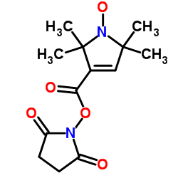 2,2,5,5-tetramethyl-3-pyrrolin-1-oxyl-3-carboxylic acid n-hydroxysuccinimide ester structure