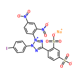 WST-3 Structure