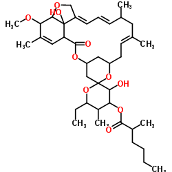 (10'E,14'E,16'E)-6-Ethyl-3,24'-dihydroxy-21'-methoxy-5,11',13',22'-tetramethyl-2'-oxo-3,4,5,6-tetrahydrospiro[pyran-2,6'-[3,7,19]trioxatetracyclo[15.6.1.14,8.020,24]pentacosa[10,14,16,22]tetraen]-4-yl 2-methylhexanoate Structure