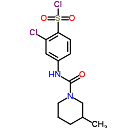 2-CHLORO-4-[(3-METHYL-PIPERIDINE-1-CARBONYL)-AMINO]-BENZENESULFONYL CHLORIDE picture