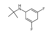 N-(tert-butyl)-3,5-difluorocyclohexa-2,5-dien-1-amine结构式