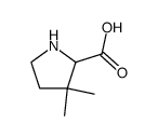 3,3-dimethylpyrrolidine-2-carboxylic acid Structure