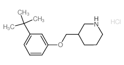 3-(tert-Butyl)phenyl 3-piperidinylmethyl ether hydrochloride结构式