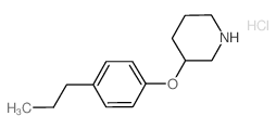 3-(4-Propylphenoxy)piperidine hydrochloride结构式