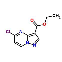 Ethyl 5-chloropyrazolo[1,5-a]pyrimidine-3-carboxylate structure