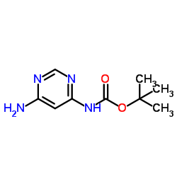 6-氨基嘧啶-4-氨基甲酸叔丁酯图片