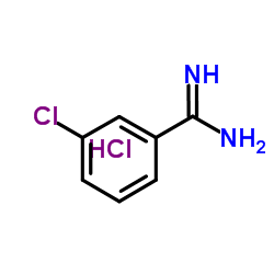 3-Chlorbenzolcarboximidamidhydrochlorid(1:1) picture