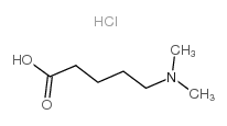 5-(二甲氨基)戊酸盐酸盐图片