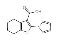 2-(1H-吡咯-1-基)-4,5,6,7-四氢-1-苯并噻吩-3-羧酸结构式