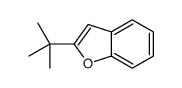 2-tert-butyl-1-benzofuran Structure