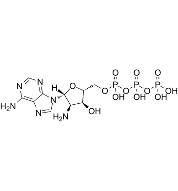 2'-NH2-ATP structure