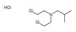 N,N-bis(2-chloroethyl)-2-methylpropan-1-amine,hydrochloride结构式