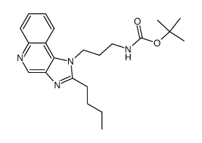 tert-butyl [3-(2-butyl-1H-imidazo[4,5-c]quinolin-1-yl)propyl]carbamate结构式