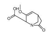 1-Azabicyclo[3.2.1]oct-3-ene-2-carboxylicacid,3-methoxy-7-oxo-,(1R,2S,5R)-rel-(9CI) Structure