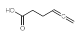 hexa-4,5-dienoic acid Structure