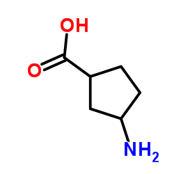 3-Aminocyclopentanecarboxylic acid Structure