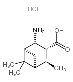 (1S,2S,3R,4S,5S)-2-Amino-4,6,6-trimethylbicyclo[3.1.1]heptane-3-carboxylic acid hydrochloride Structure