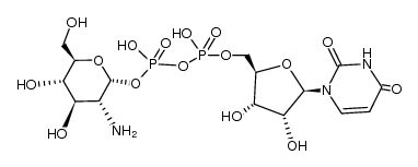 uridine 5'-(2-amino-2-deoxy-α-D-glucopyranosyl)-diphosphate结构式