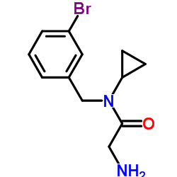 N-(3-Bromobenzyl)-N-cyclopropylglycinamide picture