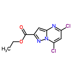 5,7-Dichloropyrazolo[1,5-a]pyrimidine-2-carboxylic acid ethyl ester Structure