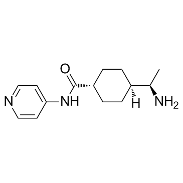 Y-27632 structure