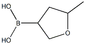 (5-Methyl)tetrahydrofuran-3- boronic acid Structure