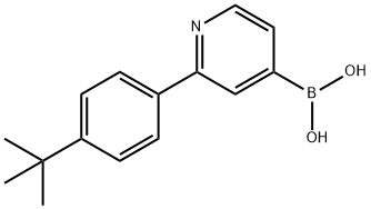 2-(4-tert-Butylphenyl)pyridine-4-boronic acid结构式