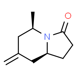 3(2H)-Indolizinone,hexahydro-5-methyl-7-methylene-,(5R,8aS)-(9CI) Structure