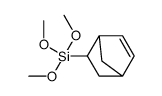 5-bicyclo[2.2.1]hept-2-enyl(trimethoxy)silane Structure