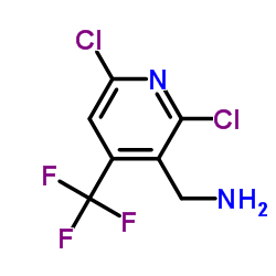2,6-DICHLORO-4-(TRIFLUOROMETHYL)PYRIDINE-3-METHYLAMINE picture