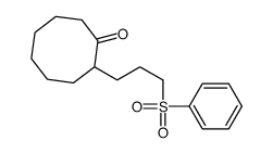 2-[3-(benzenesulfonyl)propyl]cyclooctan-1-one Structure