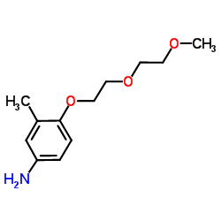 4-[2-(2-Methoxyethoxy)ethoxy]-3-methylaniline结构式