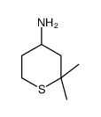 2,2-dimethylthian-4-amine Structure